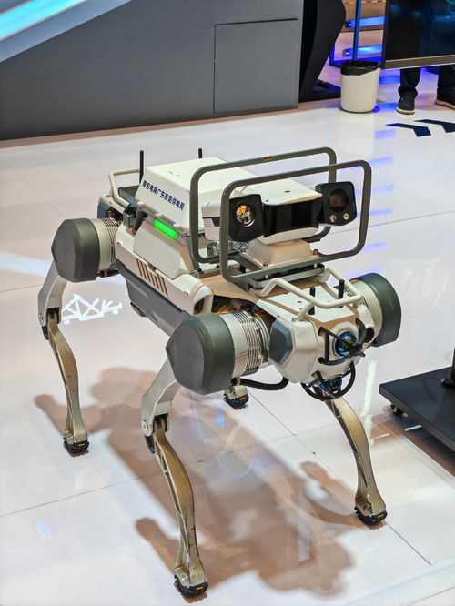 筑牢數字安全新防線 2024年網絡安全博覽會創新成果巡禮